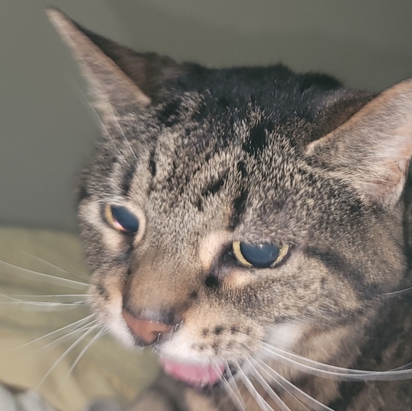 Meet your Posher, Gina - Picture 7 of 7